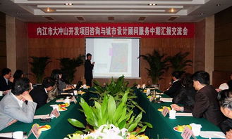 東興區大沖山開發項目中期匯報交流會 專業設計服務賦能城市未來